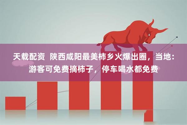 天载配资  陕西咸阳最美柿乡火爆出圈，当地：游客可免费摘柿子，停车喝水都免费