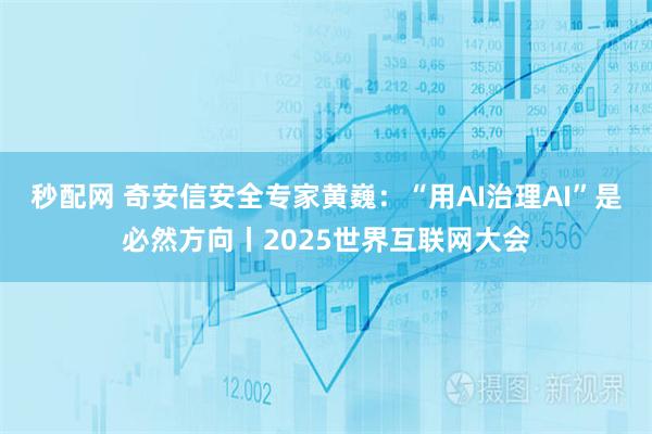秒配网 奇安信安全专家黄巍：“用AI治理AI”是必然方向丨2025世界互联网大会